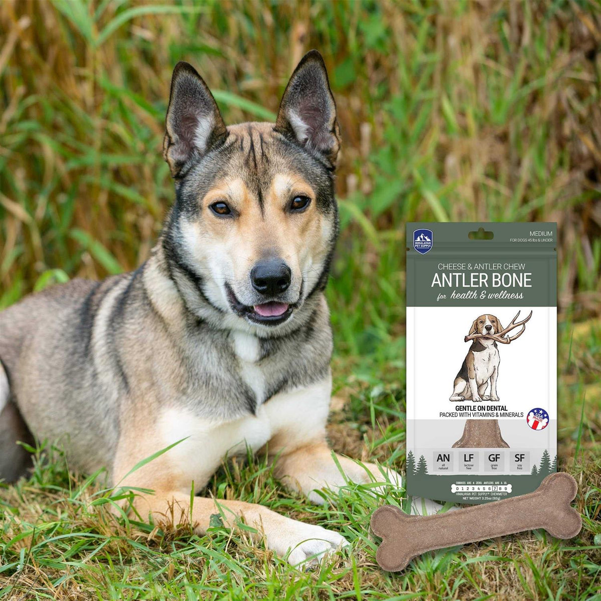 Antler Bone Dog Chew K197