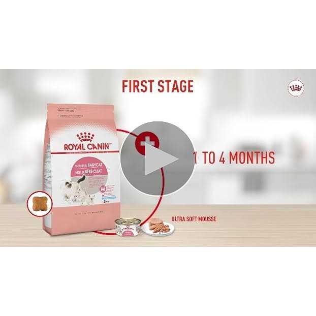 Mother & Babycat Ultra Soft Mousse M756