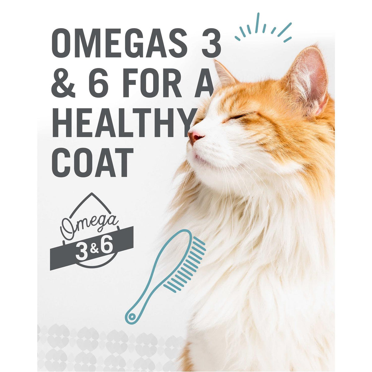 Cat Food R3559