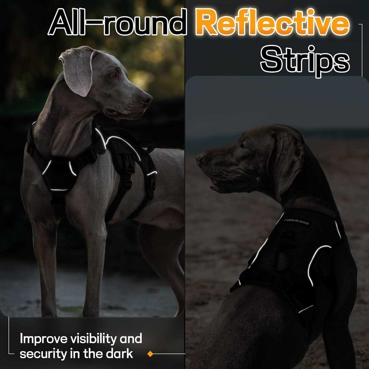 Adjustable Soft Padded Dog Harness with 2 Leash Clips N7029