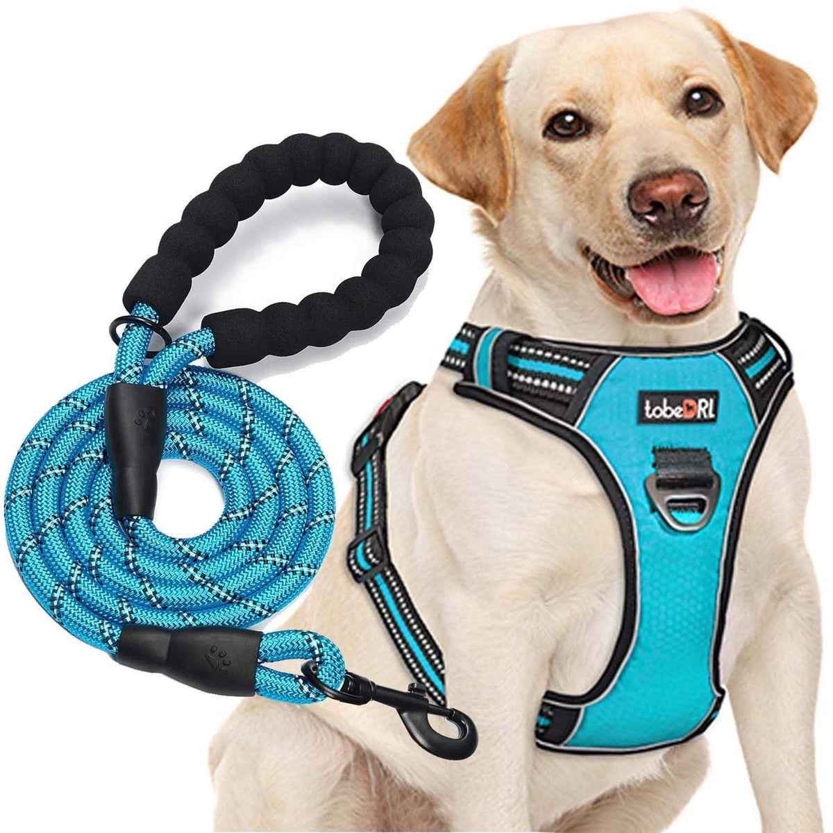 Adjustable Reflective Oxford Dog Harness with 5ft Dog Leash R64712