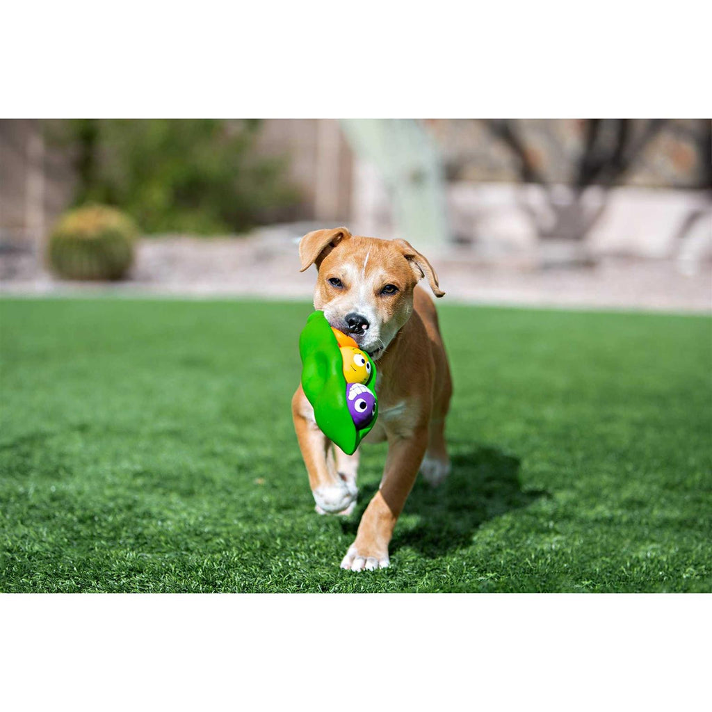 Dog Toy F18866