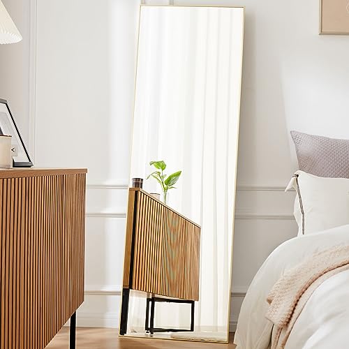 Arched Full Length Mirror with Stand Aluminum Frame Black 59"x16" P75071