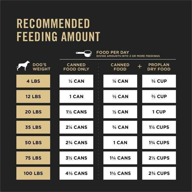High Protein Wet Dog Food O741