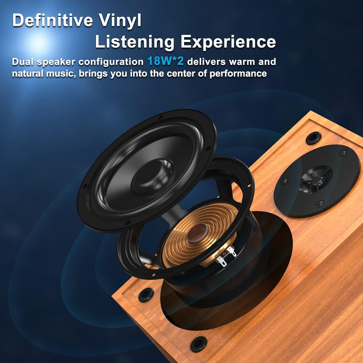 Bluetooth Record Player with Speakers O71987
