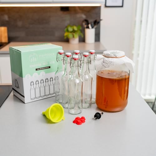 Swing Top Glass Bottles 16 oz 6 Set with Funnel H8015