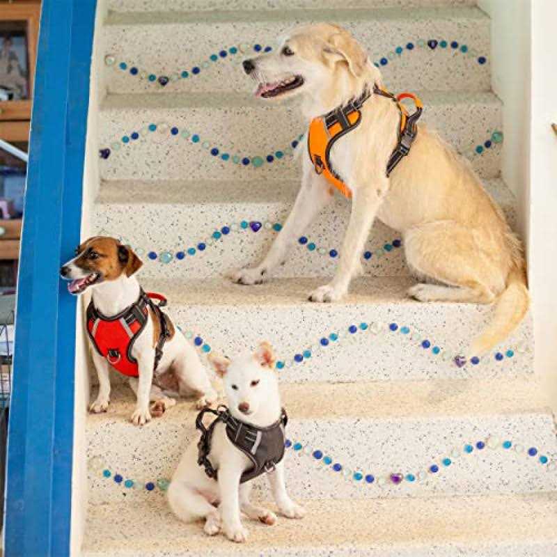 Adjustable Reflective Oxford Dog Harness with 5ft Dog Leash R64712