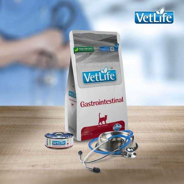 Farmina Vet Life feline Gastrointestinal F884176