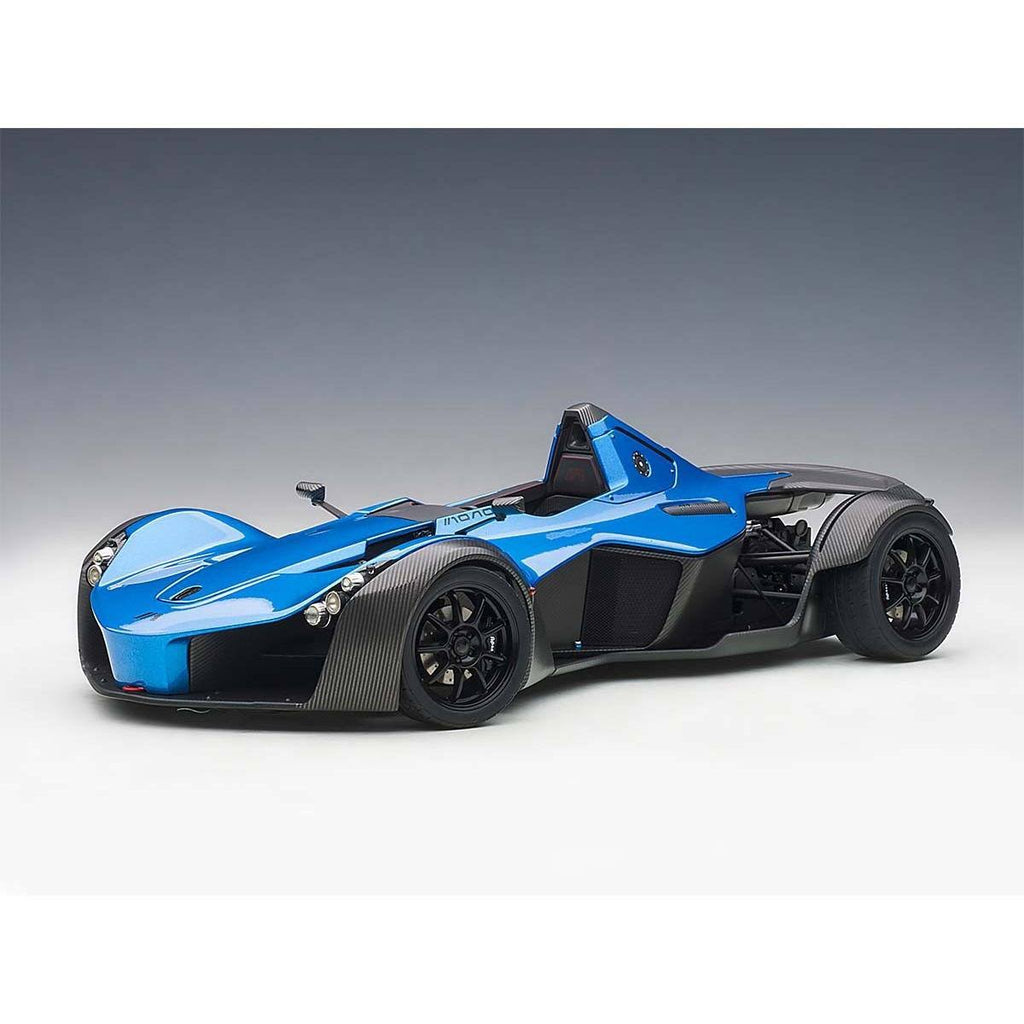 1/18 Model Car T3310