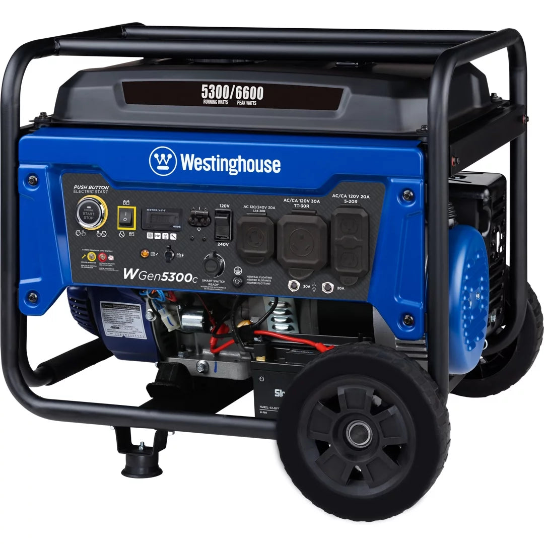 Gas Powered Portable Generator with Remote Electric Start N366