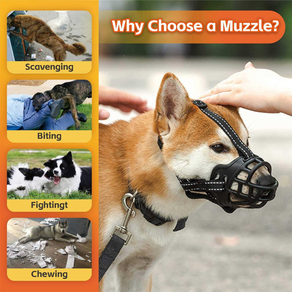 Dog Muzzle V37966