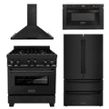 30 in. Dual Fuel Range, Range Hood, Microwave Drawer, Refrigerator in Black Stainless O16799