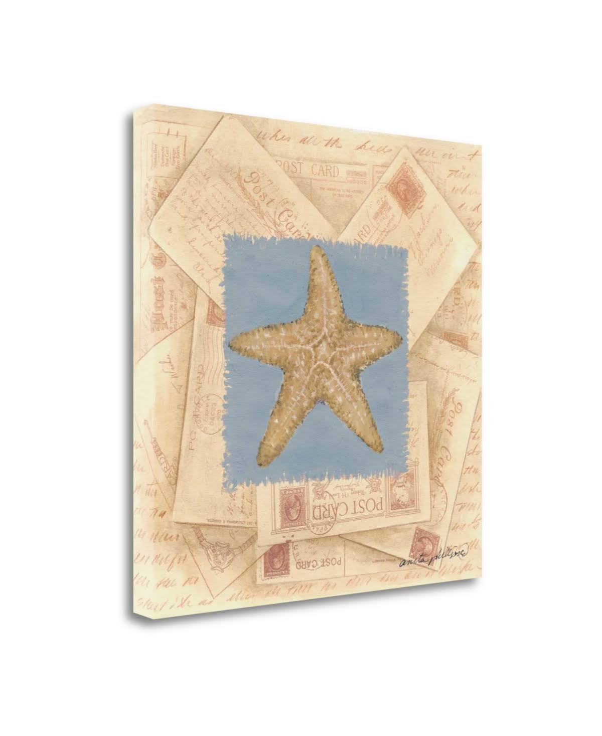 Starfish Postcard Giclee Print E25465
