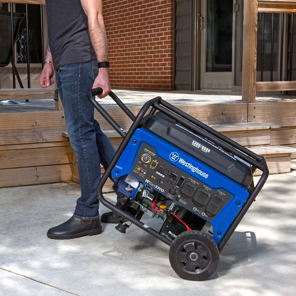 Gas Powered Portable Generator with Remote Electric Start N366