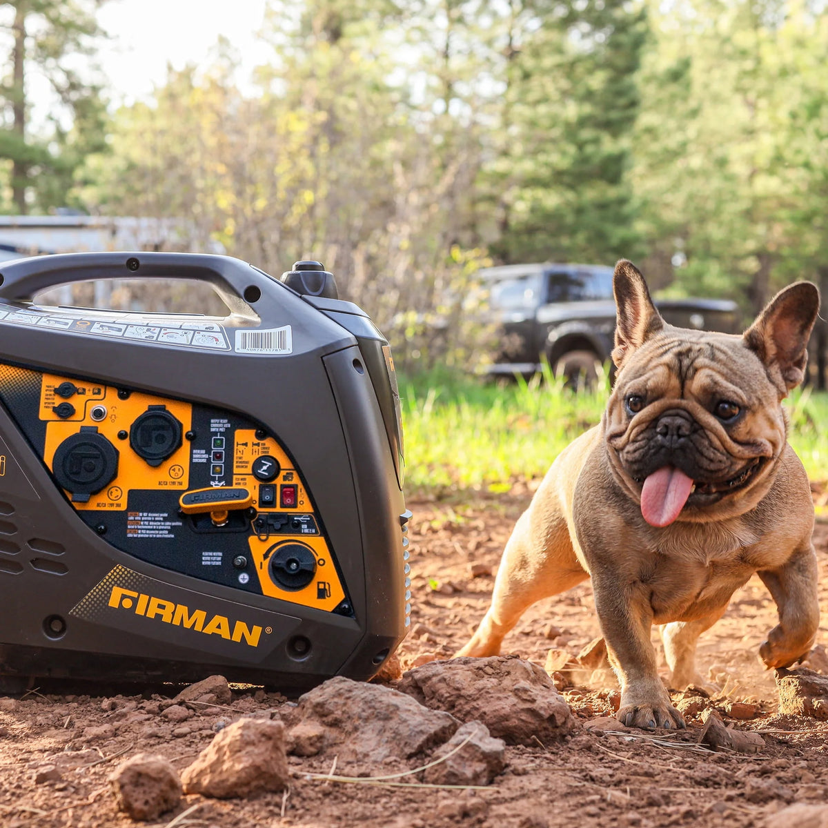 1600/2000 Watt Gasoline Powered Inverter Generator K93247