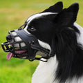 Dog Muzzle V37966