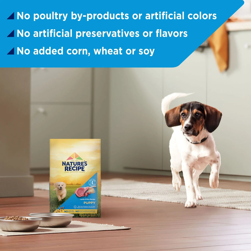 Lamb & Rice Dry Dog Food 12 lb Bag C625
