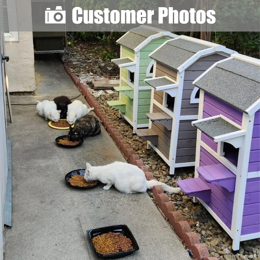 Weatherproof Two Story Wooden Outdoor Cat House S888
