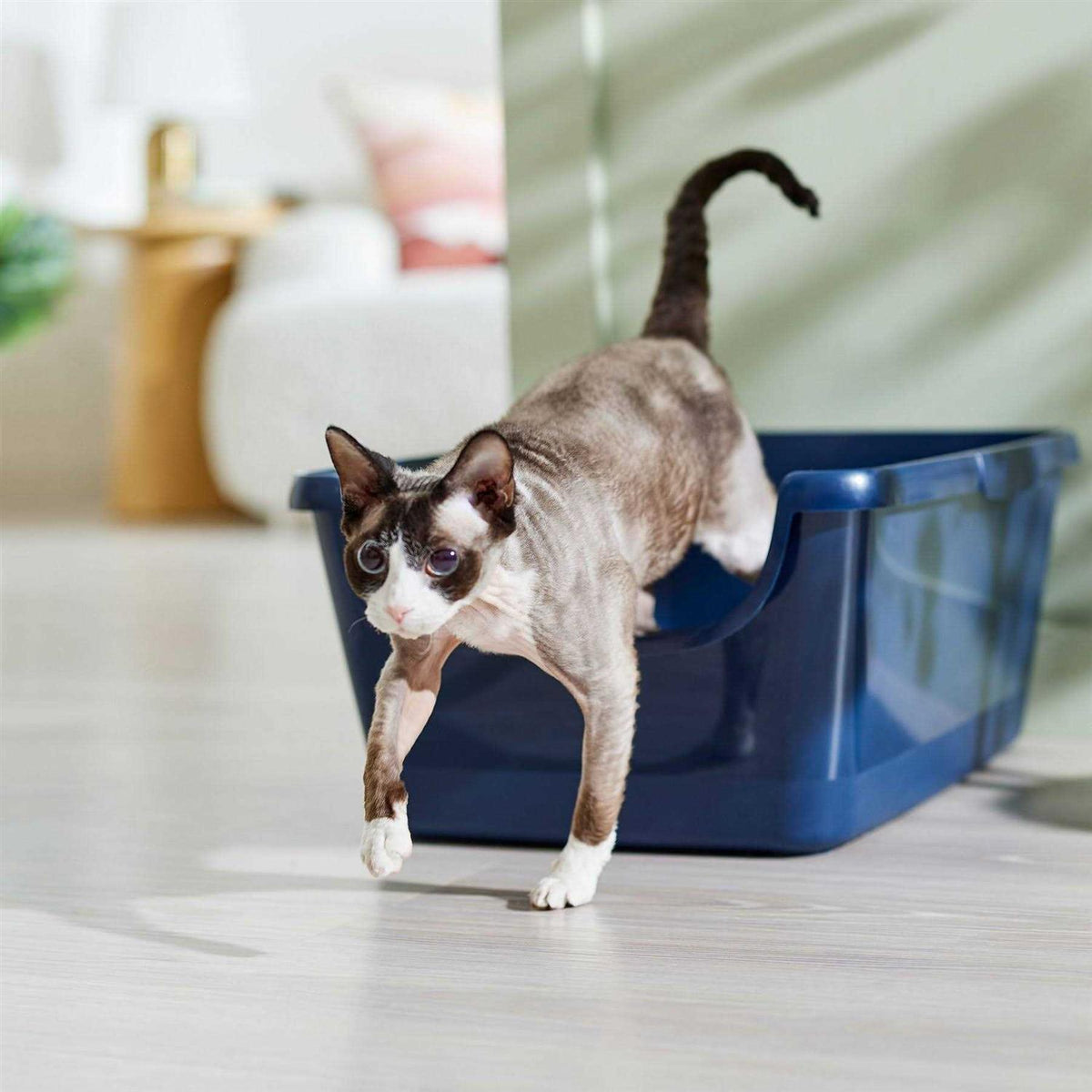 High Sided Cat Litter Box R48094