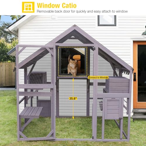 Outdoor Cat Enclosure with Bridges P5475