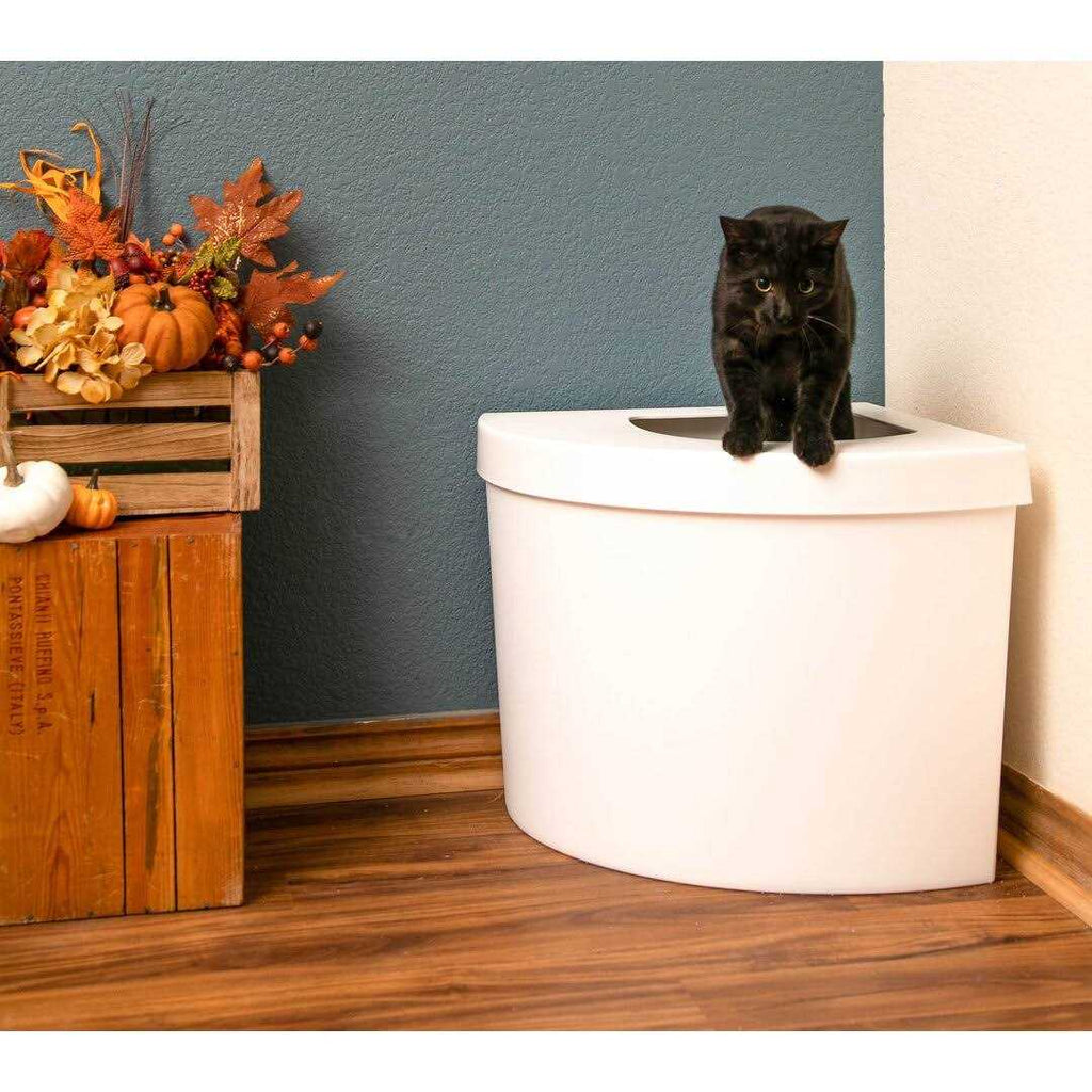 Litter Box K577869