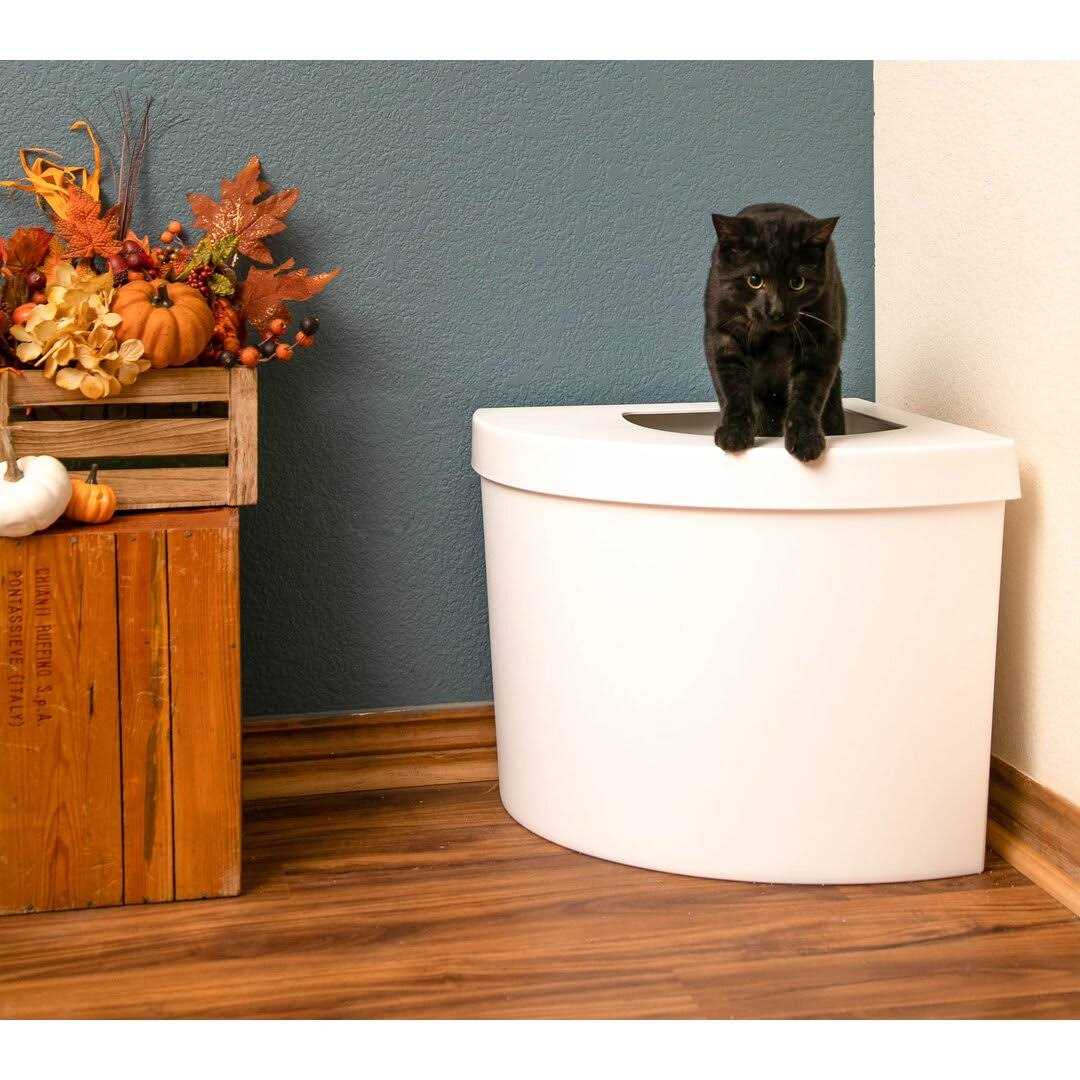 Litter Box K577869