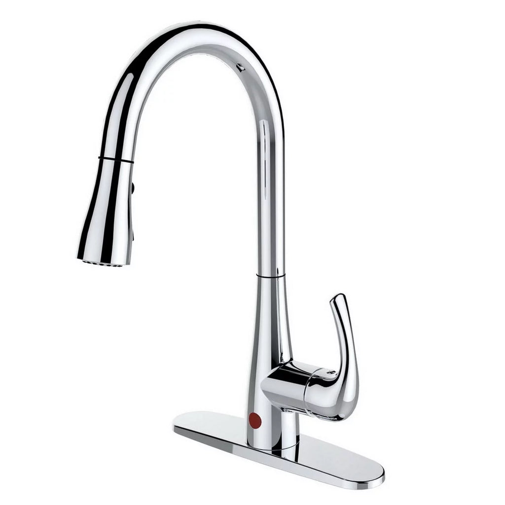 Single-Handle Pull-Down Sprayer Kitchen Faucet Chrome F62449
