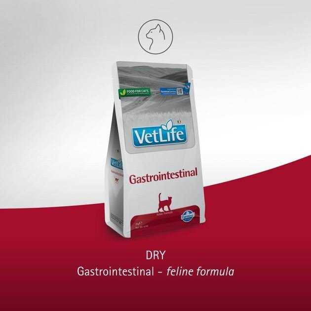 Farmina Vet Life feline Gastrointestinal F884176