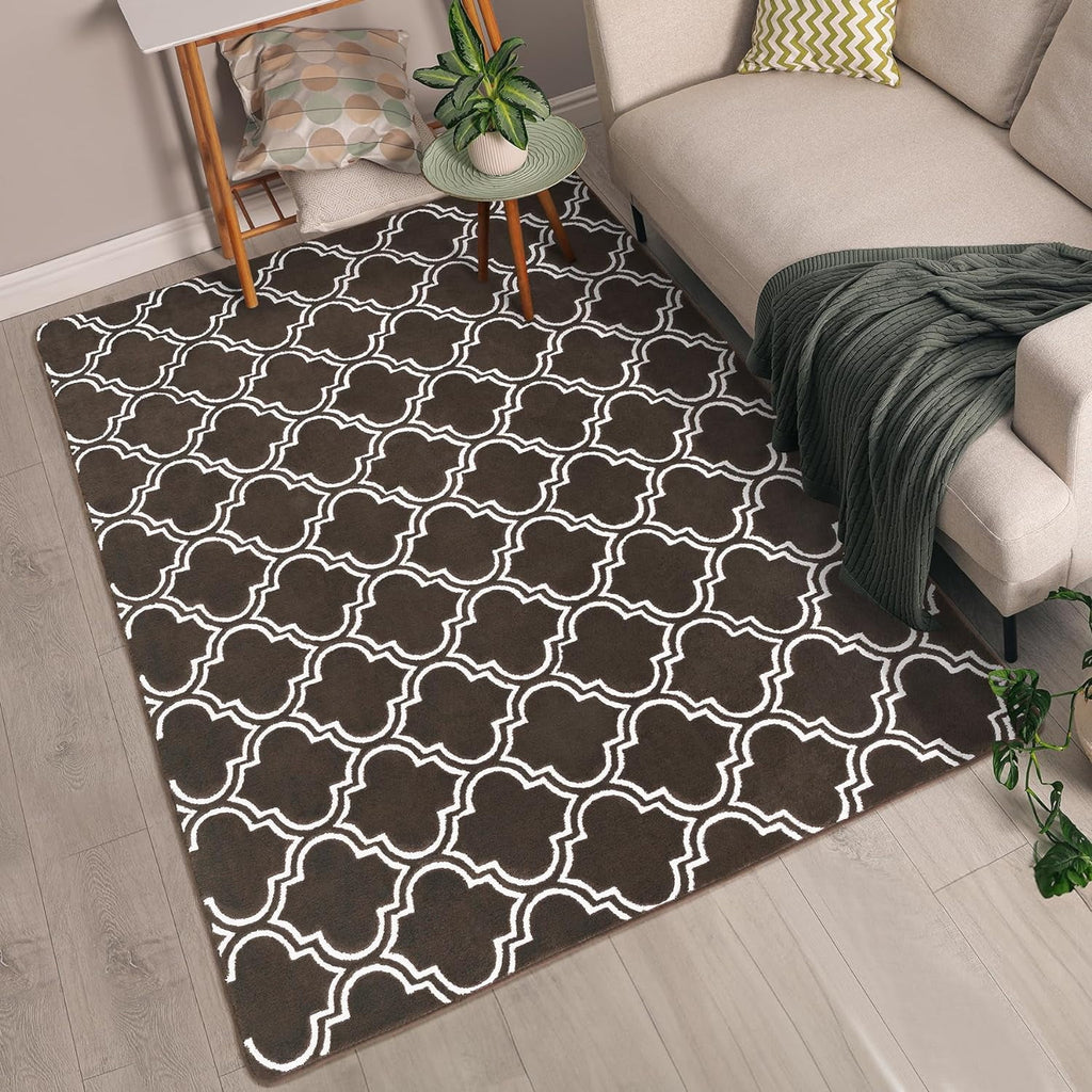 5'x7' Brown Geometric Fluffy Area Rug C6054