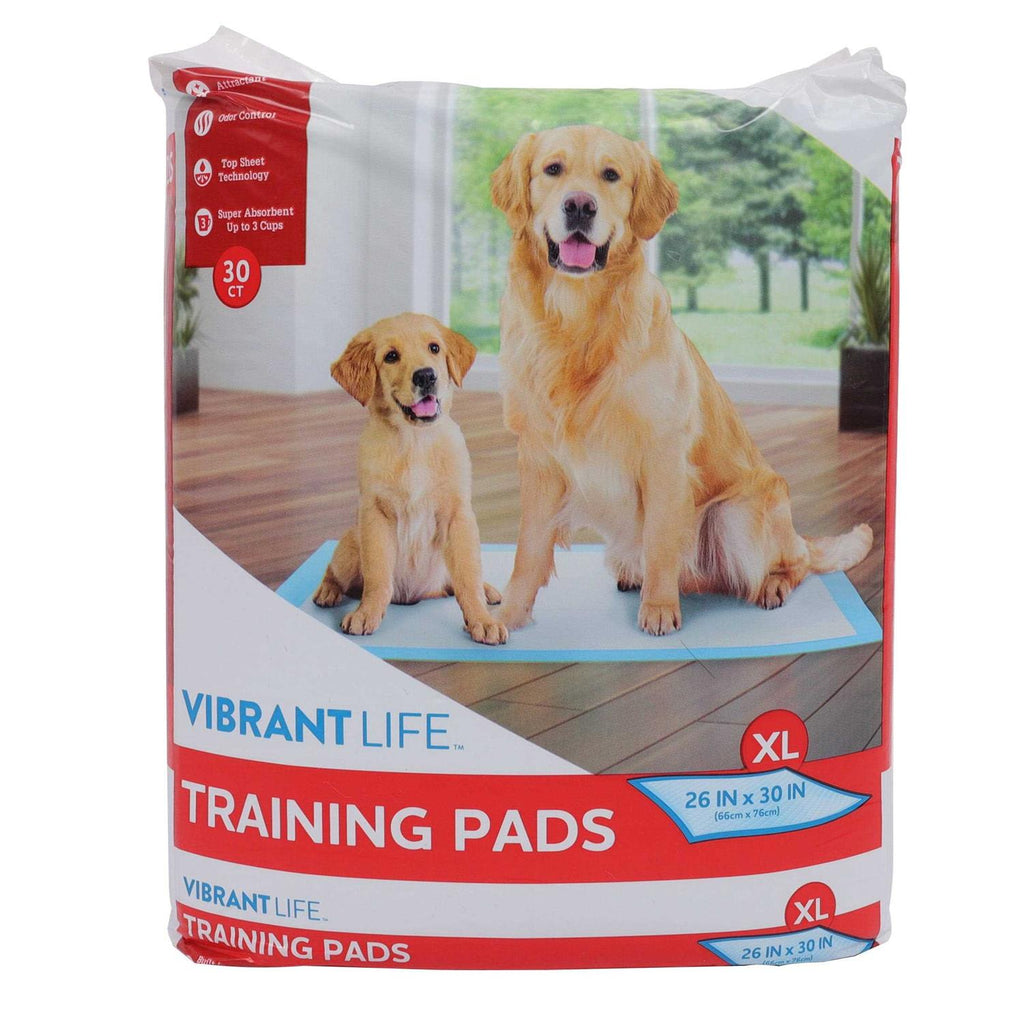 XL Training Pads D853
