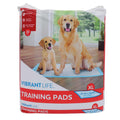 XL Training Pads D853