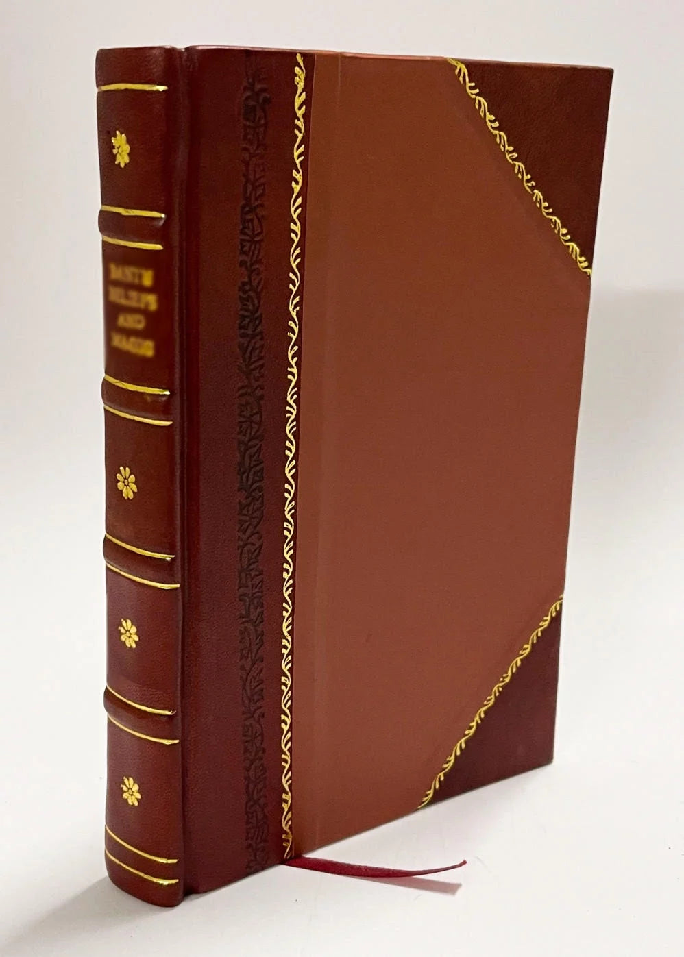 English Bible Leather Bound W647449