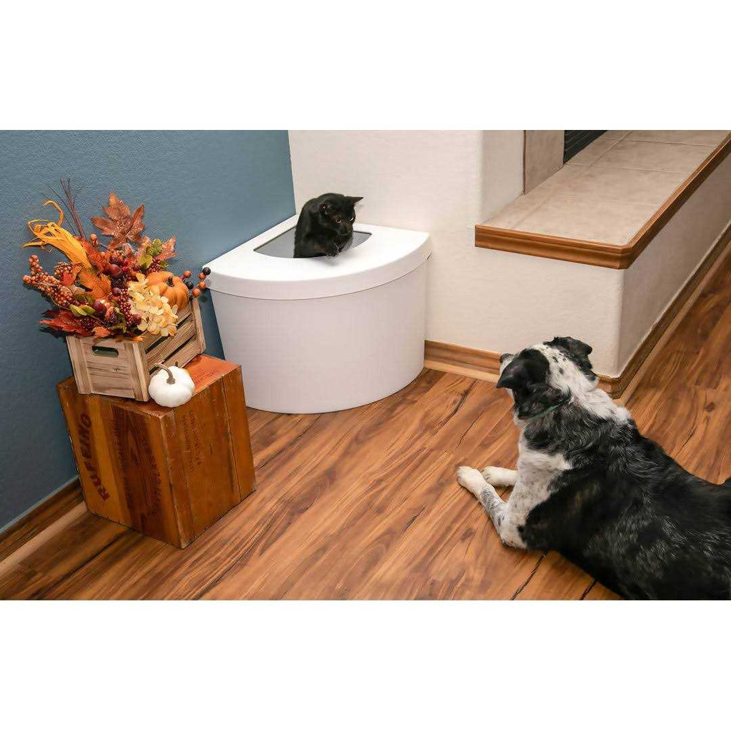 Litter Box K577869