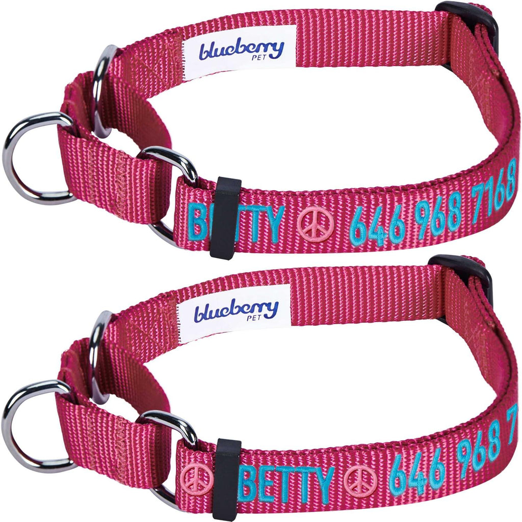 Martingale Safety Training Dog Collar N4140