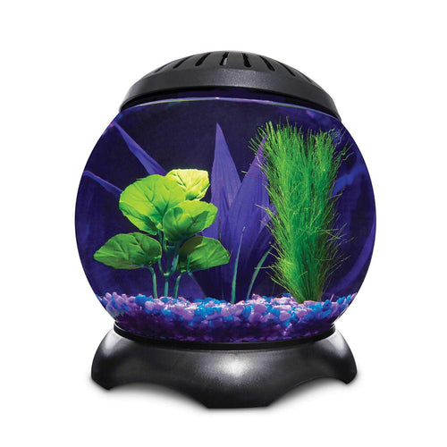 1.3 Gallon Lotus Tank R265