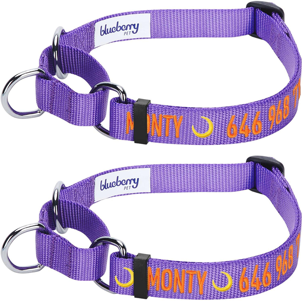 Martingale Safety Training Dog Collar N4140