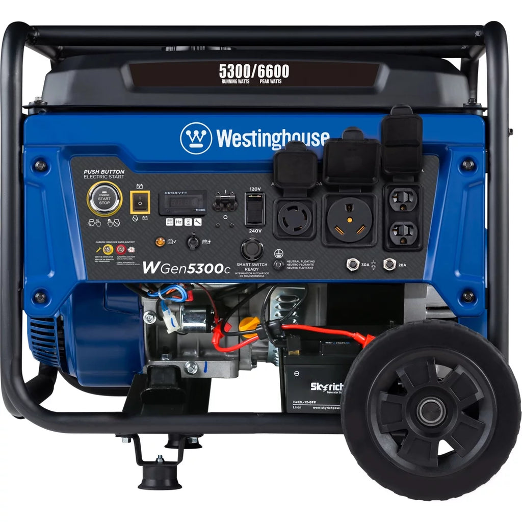 Gas Powered Portable Generator with Remote Electric Start N366