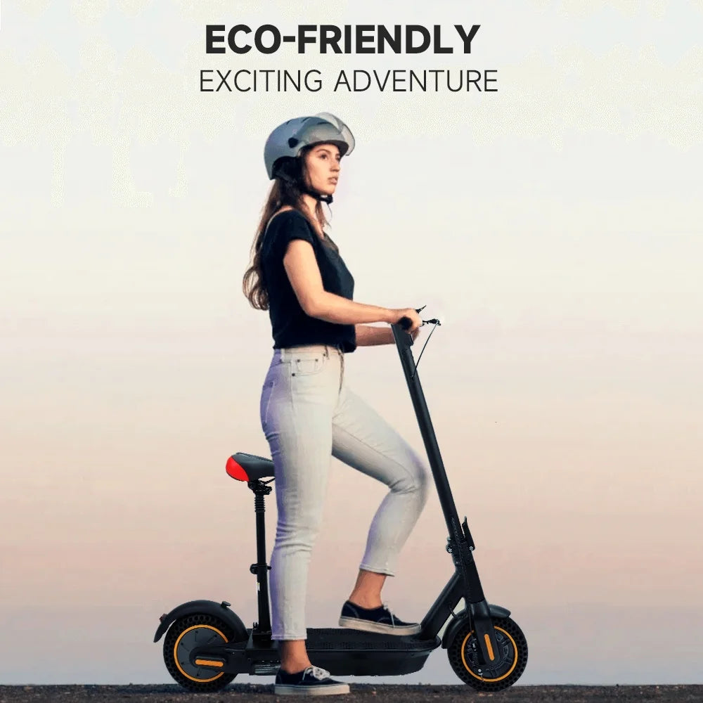 10AH 500W Electric Scooter with Seat R1263