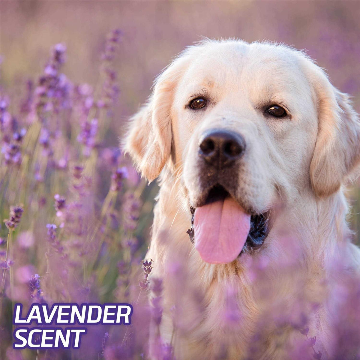 Lavender Scent Odor Eliminating Dog Pads J4572