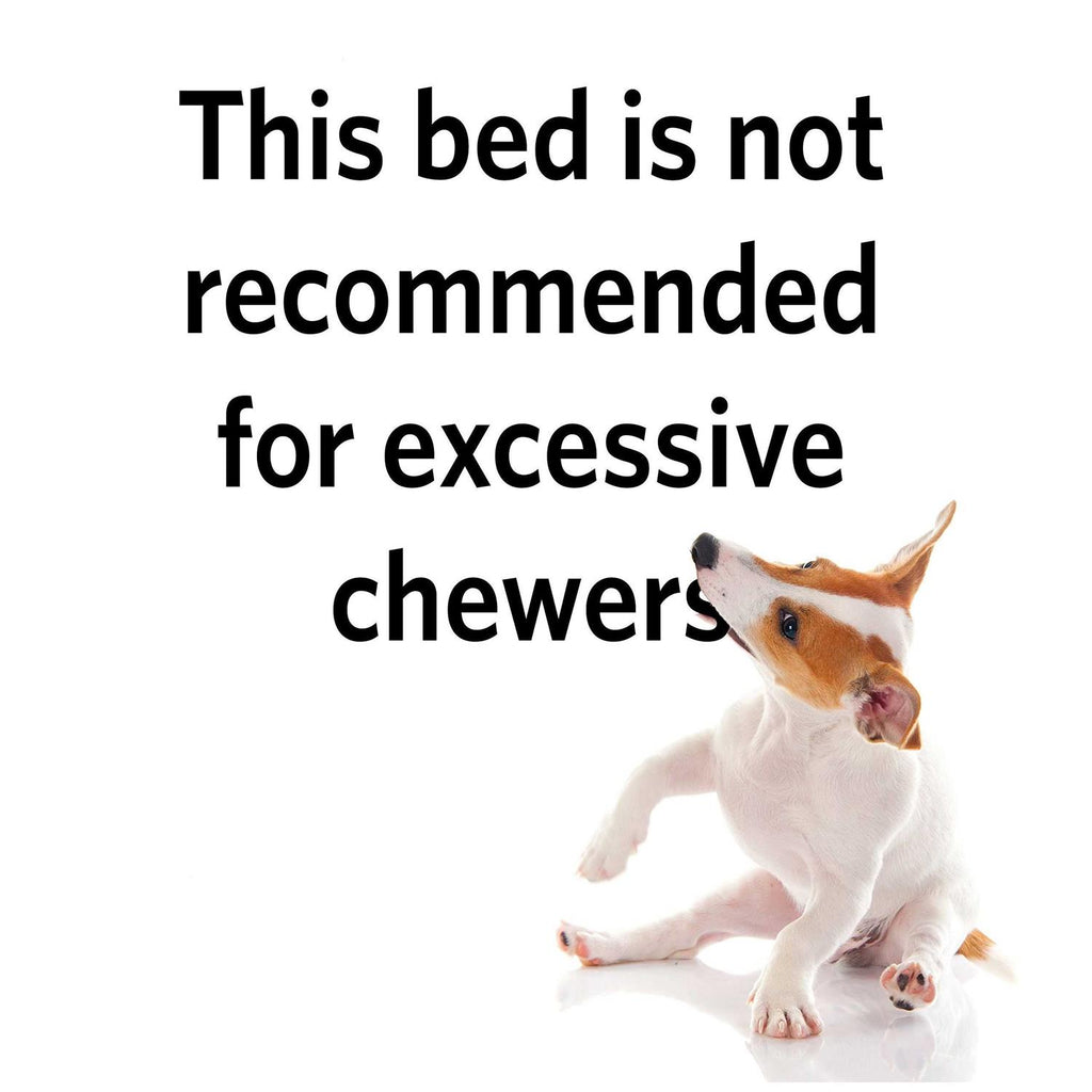 Pet Bed Z70393
