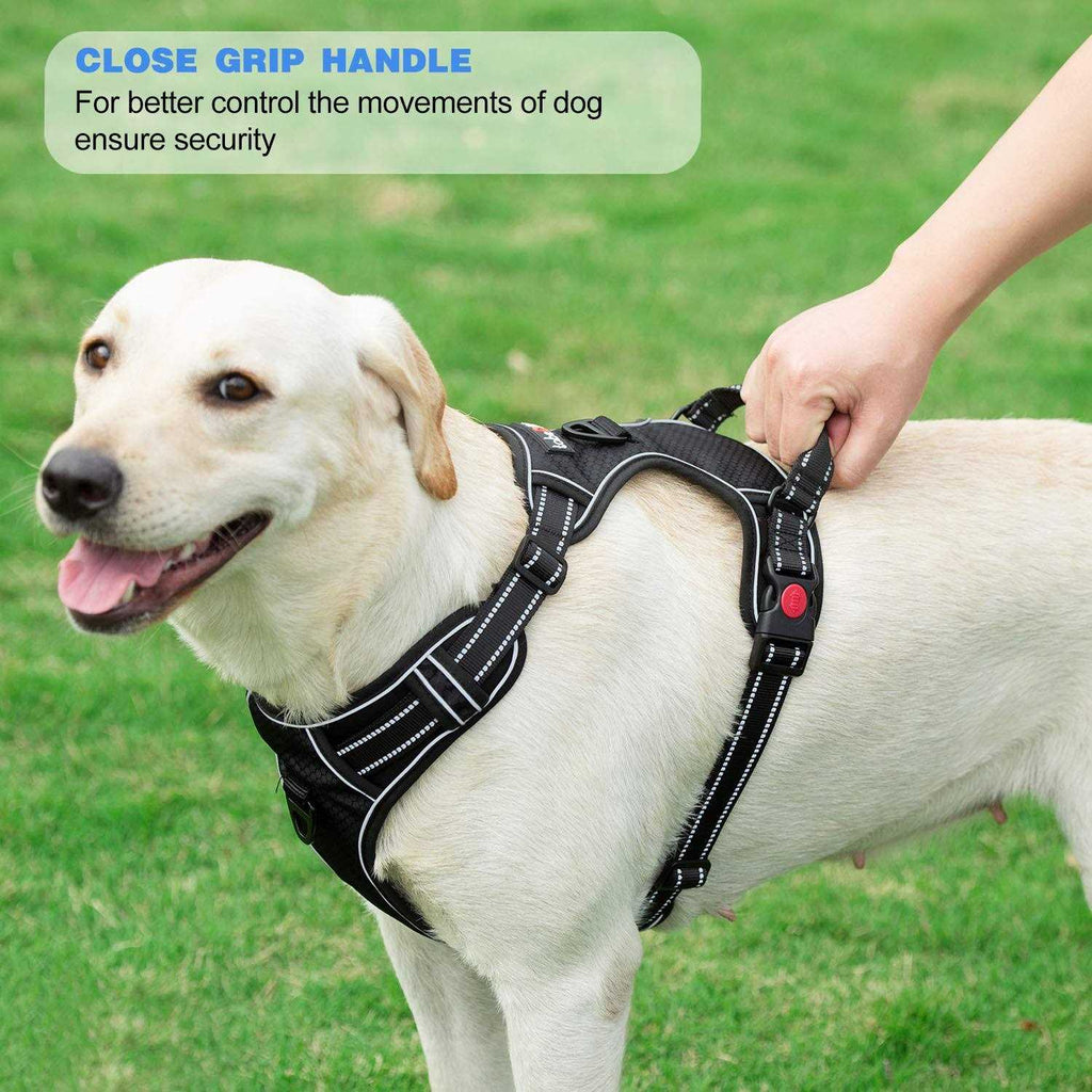 Adjustable Reflective Oxford Dog Harness with 5ft Dog Leash R64712