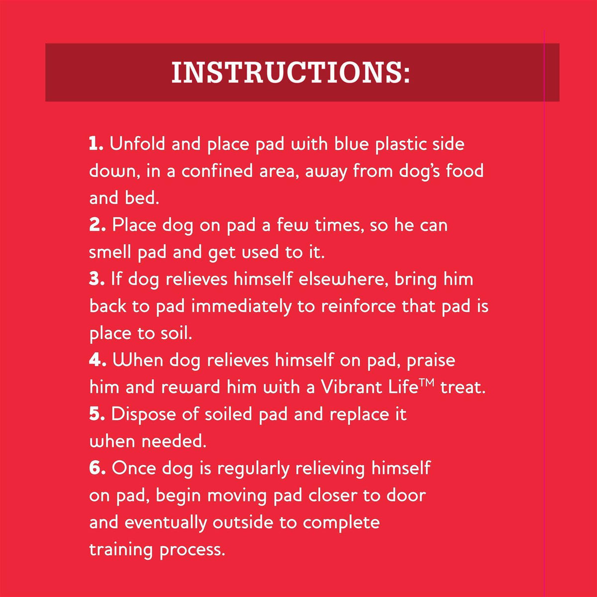 XL Training Pads D853