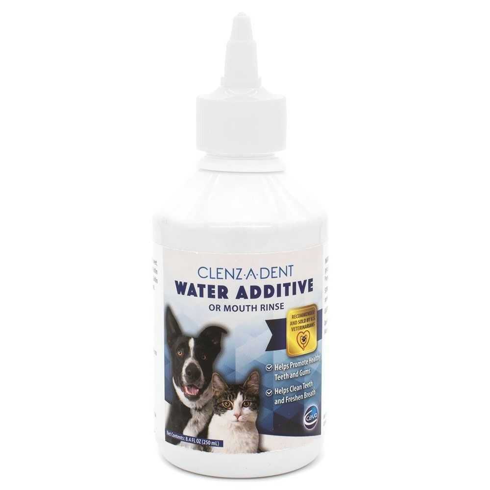 Chlorhexidine Rinse 8oz Bottle U414853