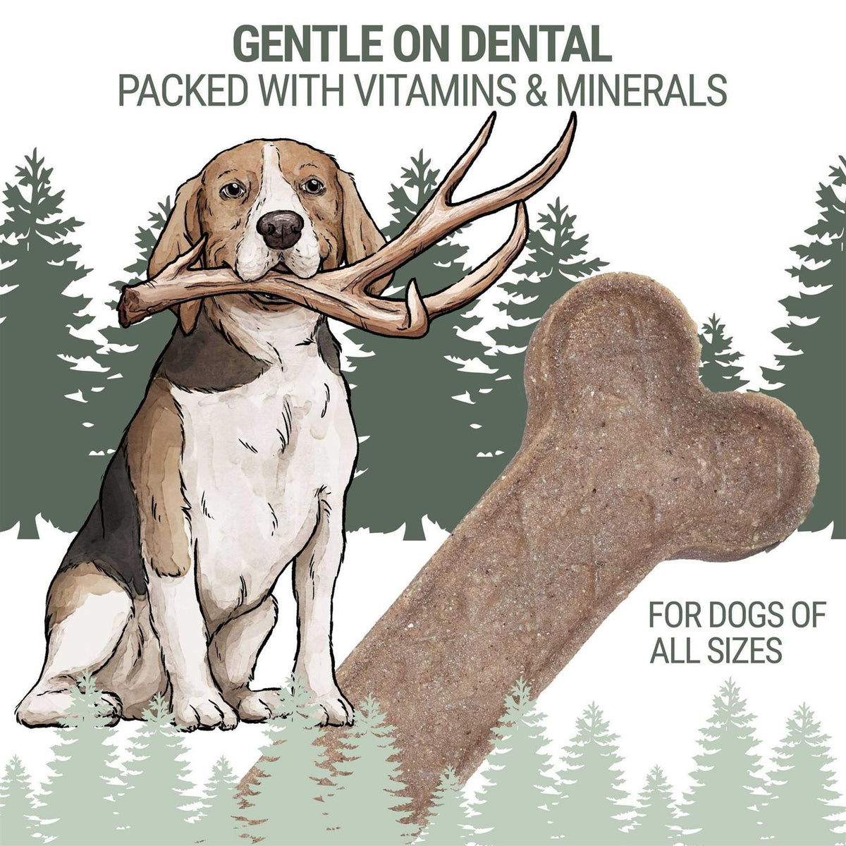 Antler Bone Dog Chew K197